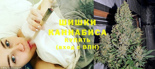 ECSTASY Пересвет
