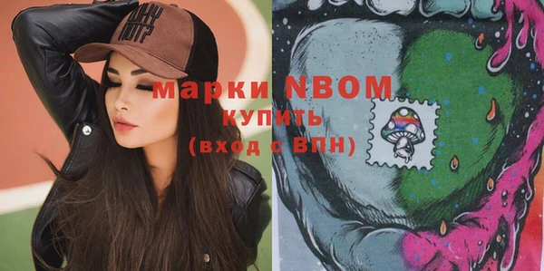 молекула духа Пестово